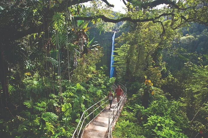 Volcano Adventure: Hilo Sightseeing w/ Optional Helicopter Tour — helicopter tour in Big Island