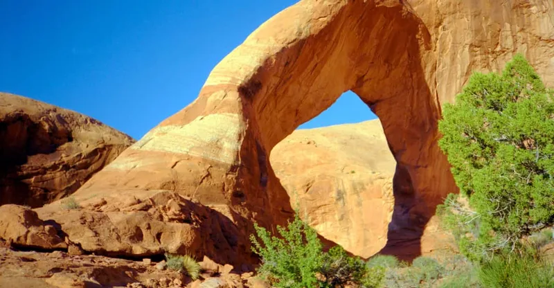 Backcountry Arches Helicopter Tour — helicopter tour in Moab