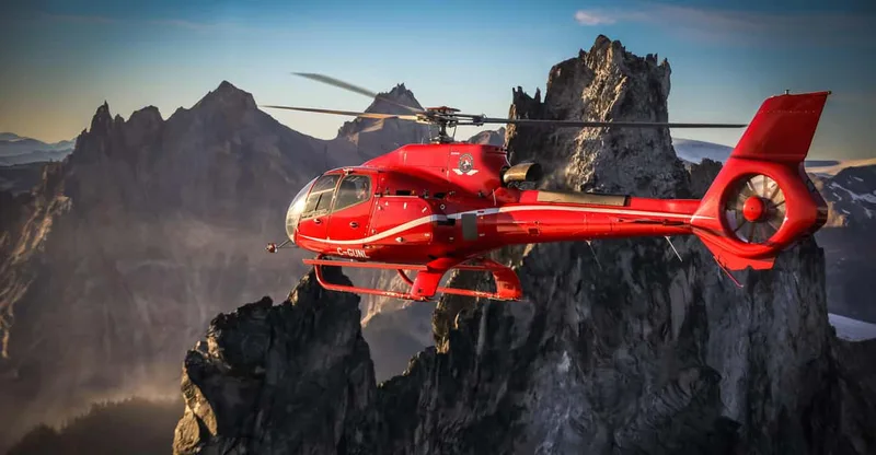 Whistler Helicopter Tour: Glaciers and Black Tusk — helicopter tour in Whistler